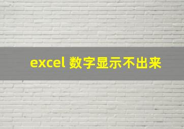 excel 数字显示不出来